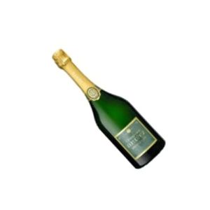 Studio image of Champagne Deutz wine bottle shot u2013 Italian wine u2013 buy Champagne Deutz wine online in the UK