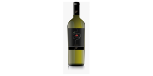 Studio image of Campania wine bottle shot u2013 Italian white wine u2013 buy Campania wine online in the UK