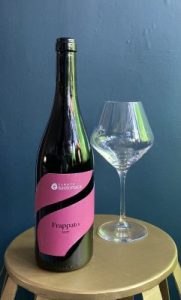 Studio image of Sicilia wine bottle shot u2013 Italian red wine u2013 buy Sicilia wine online in the UK u2013 premium Italian wine selection online