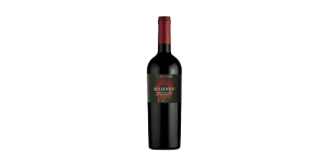Studio image of Aglianico wine bottle shot u2013 Italian red wine u2013 buy Aglianico wine online in the UK u2013 premium Italian wine selection online