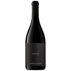 Studio image of Abruzzo wine bottle shot u2013 Italian red wine u2013 buy Abruzzo wine online in the UK u2013 premium Italian wine selection online