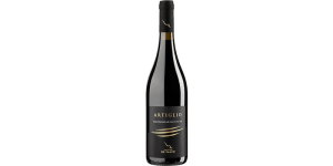 Studio image of Puglia wine bottle shot u2013 Italian red wine u2013 buy Puglia wine online in the UK