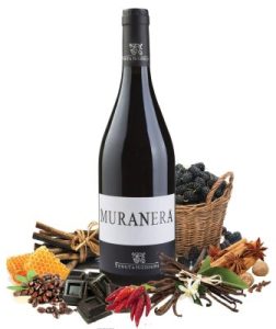 Studio image of Toscana wine bottle shot u2013 Italian red wine u2013 buy Toscana wine online in the UK u2013 buy Italian wine online