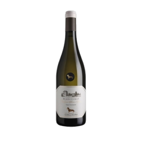 Studio image of Friuli-Venezia Giulia wine bottle shot u2013 Italian white wine u2013 buy Friuli-Venezia Giulia wine online in the UK u2013 premium Italian wine seu2026