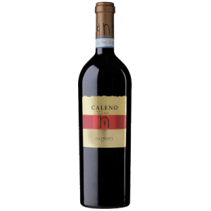 Studio image of Campania wine bottle shot u2013 Italian red wine u2013 buy Campania wine online in the UK