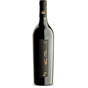 Studio image of Aglianico Campania wine bottle shot u2013 Italian red wine u2013 buy Aglianico Campania wine online in the UK