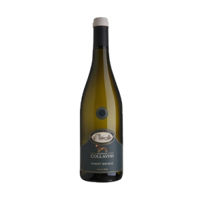 Studio image of Friuli-Venezia Giulia wine bottle shot u2013 Italian white wine u2013 buy Friuli-Venezia Giulia wine online in the UK