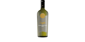 Studio image of Campania wine bottle shot u2013 Italian white wine u2013 buy Campania wine online in the UK