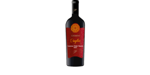 Studio image of Aglianico Campania wine bottle shot u2013 Italian red wine u2013 buy Aglianico Campania wine online in the UK u2013 buy Italian wine online