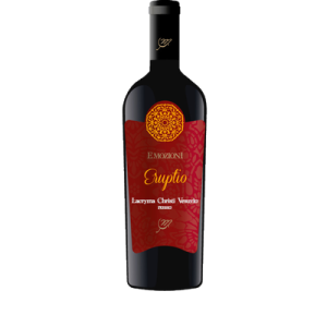 Studio image of Aglianico Campania wine bottle shot u2013 Italian red wine u2013 buy Aglianico Campania wine online in the UK u2013 buy Italian wine online