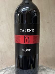 Studio image of Campania wine bottle shot u2013 Italian red wine u2013 buy Campania wine online in the UK u2013 buy Italian wine online