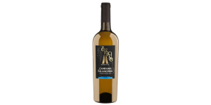 Studio image of Campania wine bottle shot u2013 Italian white wine u2013 buy Campania wine online in the UK u2013 shop Italian wine online