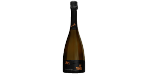 Studio image of Chardonnay Lombardy wine bottle shot u2013 Italian sparkling wine u2013 buy Chardonnay Lombardy wine online in the UK