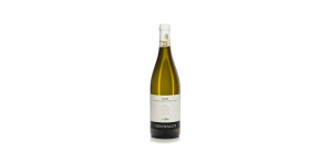 Studio image of Cortese Piemonte wine bottle shot u2013 Italian white wine u2013 buy Cortese Piemonte wine online in the UK