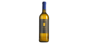 Studio image of Albana wine bottle shot u2013 Italian wine u2013 buy Albana wine online in the UK