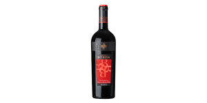 Studio image of Veneto wine bottle shot u2013 Italian wine u2013 buy Veneto wine online in the UK