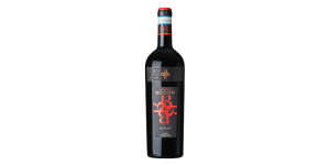 Studio image of Merlot Veneto wine bottle shot u2013 Italian wine u2013 buy Merlot Veneto wine online in the UK u2013 buy Italian wine online