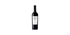 Studio image of Abruzzo wine bottle shot u2013 Italian red wine u2013 buy Abruzzo wine online in the UK