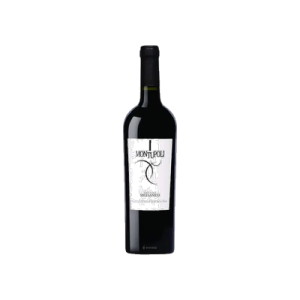 Studio image of Abruzzo wine bottle shot u2013 Italian red wine u2013 buy Abruzzo wine online in the UK