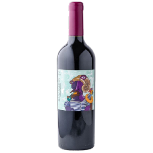 Studio image of Friuli-Venezia Giulia wine bottle shot u2013 Italian red wine u2013 buy Friuli-Venezia Giulia wine online in the UK u2013 buy Italian wine online