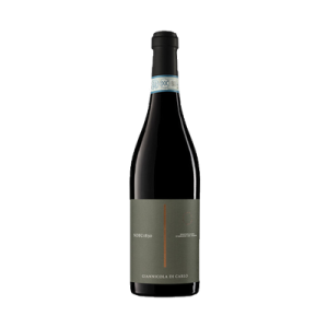 Studio image of Abruzzo wine bottle shot u2013 Italian red wine u2013 buy Abruzzo wine online in the UK
