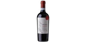 Studio image of Aglianico Campania wine bottle shot u2013 Italian red wine u2013 buy Aglianico Campania wine online in the UK u2013 buy Italian wine online