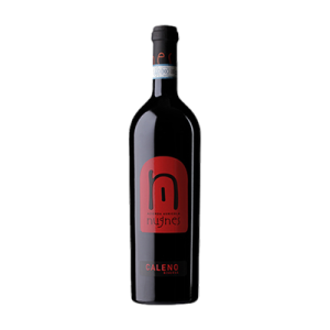 Studio image of Campania wine bottle shot u2013 Italian red wine u2013 buy Campania wine online in the UK u2013 premium Italian wine selection online