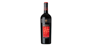 Studio image of Veneto wine bottle shot u2013 Italian red wine u2013 buy Veneto wine online in the UK