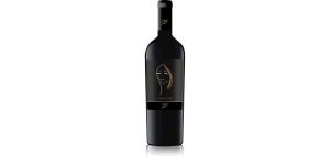 Studio image of Primitivo Puglia wine bottle shot u2013 Italian red wine u2013 buy Primitivo Puglia wine online in the UK u2013 order Italian wine with UK delivery