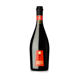 Studio image of Veneto wine bottle shot u2013 Italian sparkling wine u2013 buy Veneto wine online in the UK