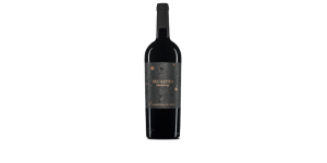 Studio image of Abruzzo wine bottle shot u2013 Italian red wine u2013 buy Abruzzo wine online in the UK u2013 order Italian wine with UK delivery