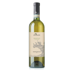 Studio image of Marche wine bottle shot u2013 Italian white wine u2013 buy Marche wine online in the UK