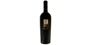 Studio image of Campania wine bottle shot u2013 Italian red wine u2013 buy Campania wine online in the UK