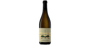 Studio image of Abruzzo wine bottle shot u2013 Italian white wine u2013 buy Abruzzo wine online in the UK