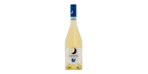 Studio image of Piemonte wine bottle shot u2013 Italian white wine u2013 buy Piemonte wine online in the UK
