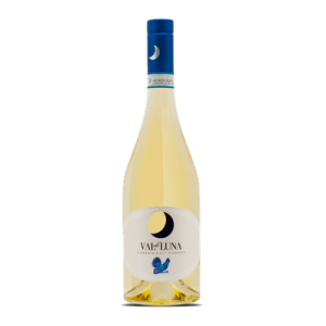 Studio image of Piemonte wine bottle shot u2013 Italian white wine u2013 buy Piemonte wine online in the UK