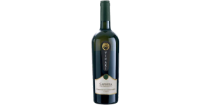 Studio image of Marche wine bottle shot u2013 Italian wine u2013 buy Marche wine online in the UK